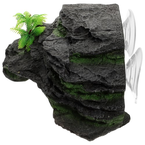 Plateforme tortue aquatique - plateforme,
