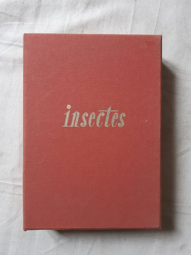 Insectes europe 192 - insectes,