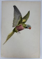 Dessin Aquarelle Gouache