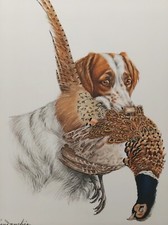 LEON DANCHIN EPAGNEUL BRETON FAISAN  LITHOGRAPHIE COULEURS CHASSE SIGNATURE NUM