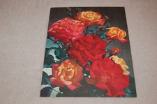 ANCIENNE PUBLICITÉ PHARMACEUTIQUE SARPAREL " les rosiers "  MASQUERADE