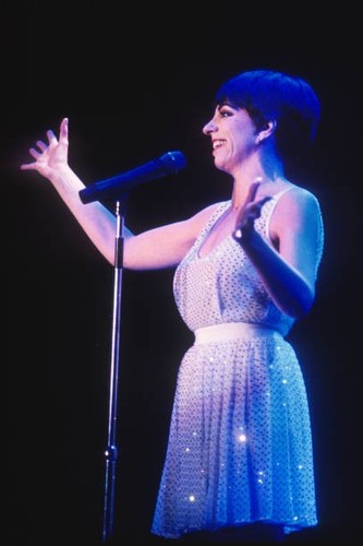 Liza minnelli sportpaleis - minnelli,