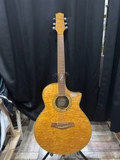 Guitare électrique acoustique