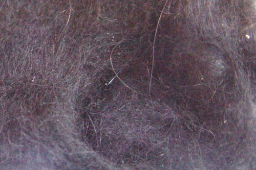 Dubbing lapin angora noir - 2g,