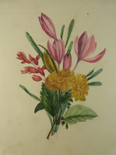 Aquarelle bouquet fleurs - aquarelle,