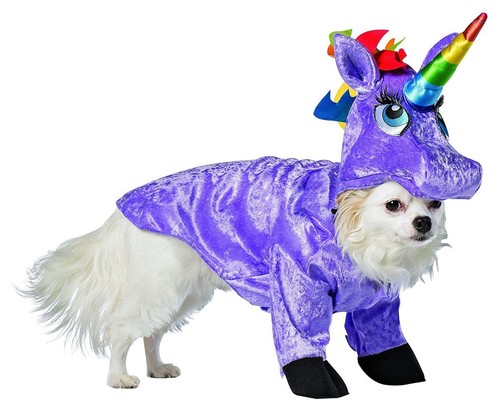 Déguisement pour chien - pour,
