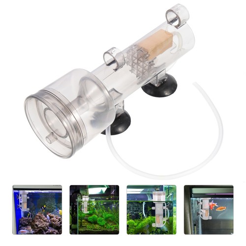 Protein skimmer fish tank - fish,