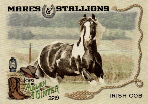 2019 topps allen - 2019,