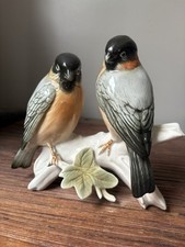 COUPLE DE BOUVREUILS EN