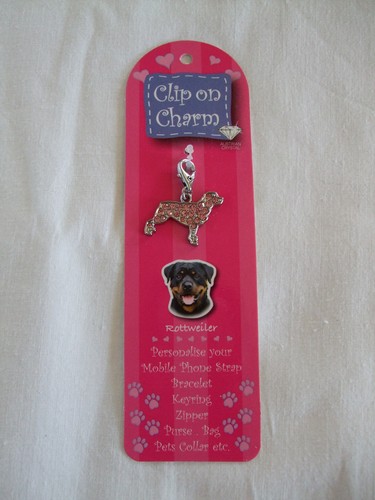 Pendentif médaillon - pendentif,