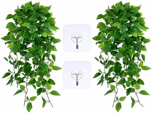 Vert lot plantes - 2,