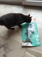 Jouet pour chat - ,
