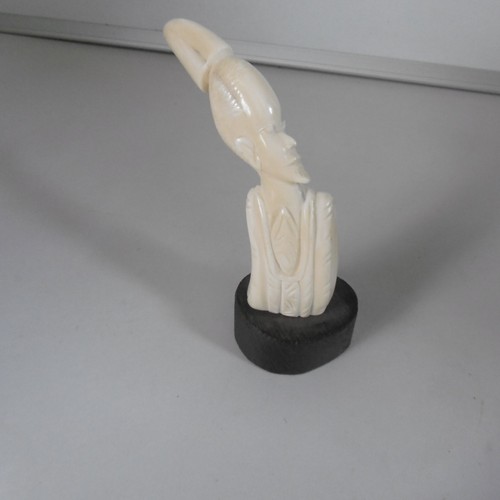 Dent phacochere sculptee - dent,