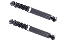 Deux Amortisseurs GAZ