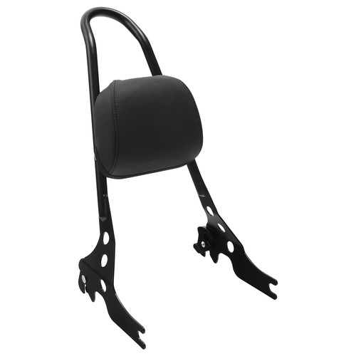 Detachable sissy bar and - sissy,