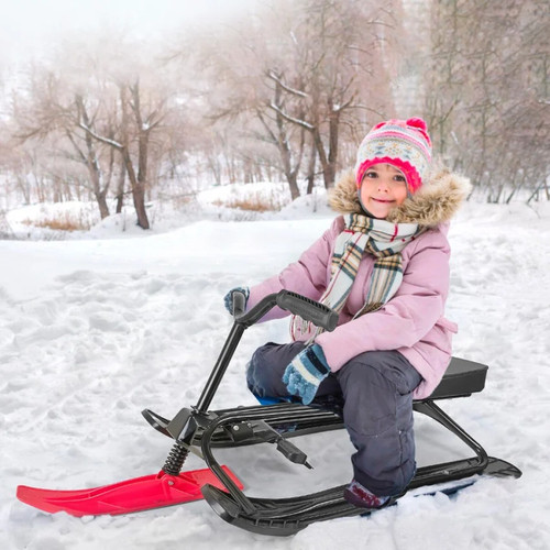 Luge snowblade pour - luge,