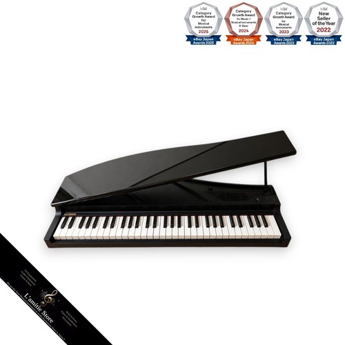 Piano numérique korg - piano,
