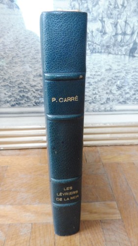 Les lévriers des - les,