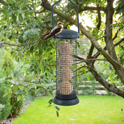 Mangeoire oiseaux trous - oiseaux,