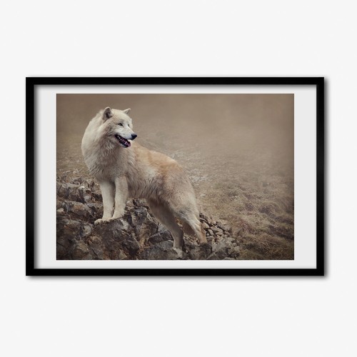 Tulup photo 60x40cm - tulup,
