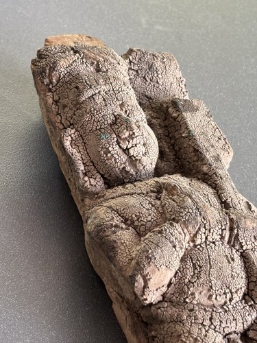 Ancienne sculpture bois - sculpture, en