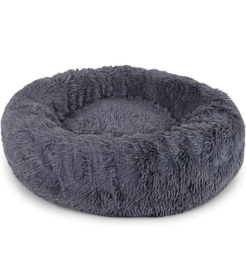 Chien chat panier - chat, ,