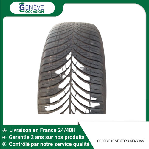 Pneu good year vector - year,
