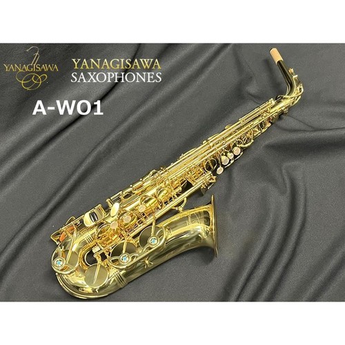 Saxophone alto yanagisawa - saxophone,