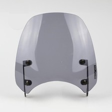 Set Pare-Brise Fumée Clair