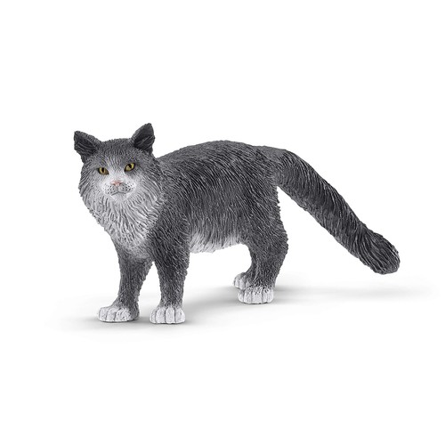 Farm world chat maine coon - maine,