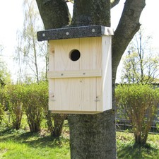 Nichoir " Mésange Bleue " 26 MM Fini Monté ,Nisthilfe pour Suspendre