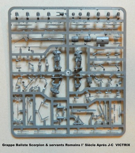 Victrix grappe baliste - victrix,