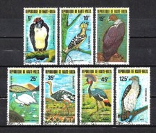 Animaux Oiseaux Haute Volta