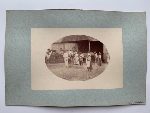 Photo albumine travail - photo, du