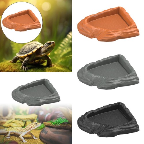 Bol eau pour tortue - pour, tortue,