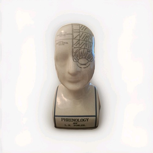 Fowler phrenology head bust - fowler,