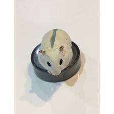 Kaiyodo Djungarian Hamster