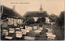 45 THOU - ruches du presbytere