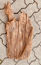 racine araignée mangrove  spider root souche bois 56X30decors aquarium S 3 xl