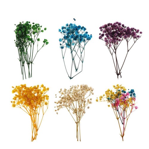 Fleurs pressées mélange de - fleurs,