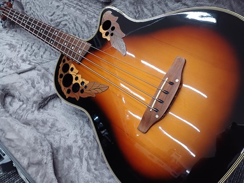Guitare basse acoustique