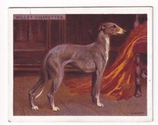 WHIPPET Vintage 1914 Dog Painting Card