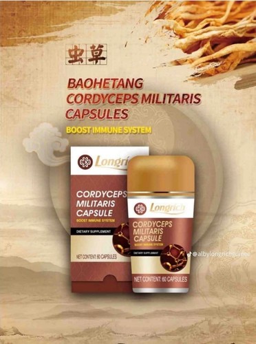 Cordyceps militaris longrich - militaris,