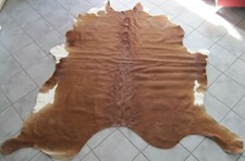 ÉTAT EXCELLENT : BEAU CUIR DE