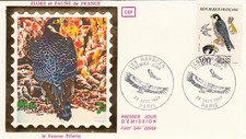 1st day day envelope stamp 1984 RAPACE RAPTOR EAGLE FALCON FALCON PEELERIN 2