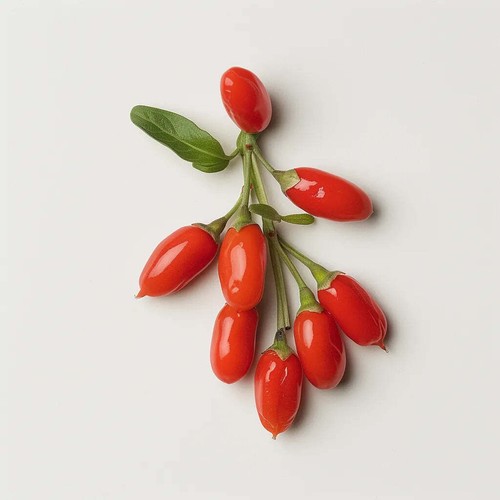 100 graines goji - de,