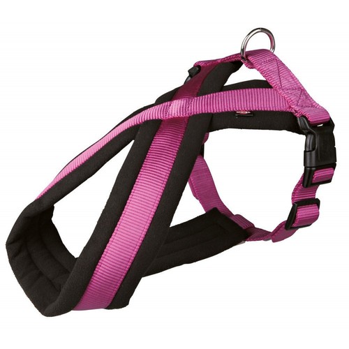 Harnais 38 cm violet - harnais,