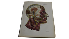 .1850.lithographie couleur
