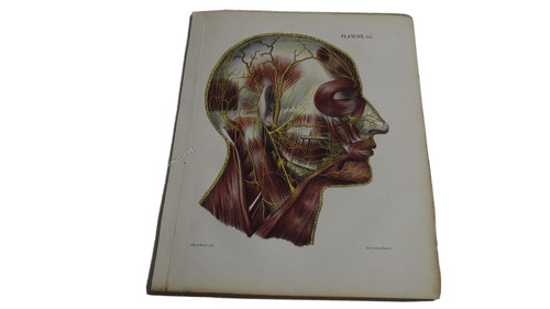 1850 lithographie couleur - .1850.lithographie,