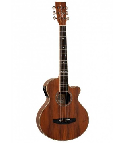 Guitare folk electro - guitare,